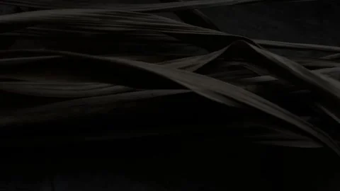 Dark Blur Texture Background with Natural Light and Soft Depth Effect Видео 320099148