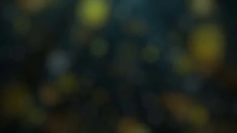Dark Bokeh Background Stock Footage 70919320