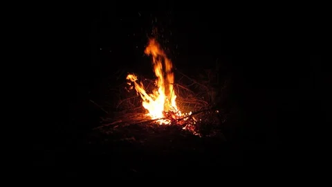 In the dark bonfire burns at night in the forest Stock Footage 129758013