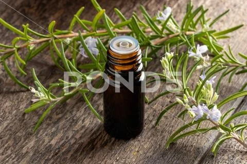 A dark bottle of essential oil with blooming rosemary twigs Stock Photos