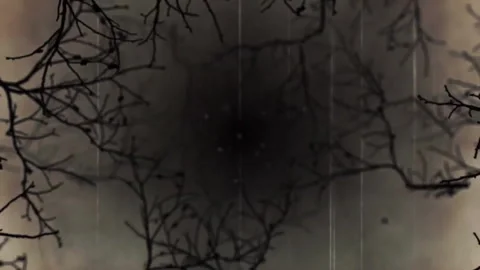 Dark branches forming circular pattern, eerie animation Stock Footage 308901467