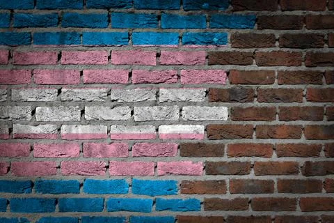 Dark brick wall - Trans Pride Stock Photos