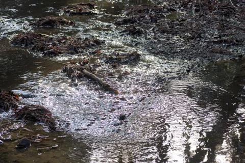 Dark brook Stock Photos