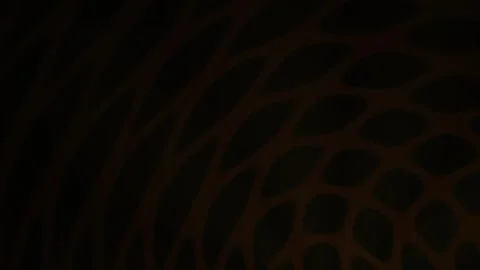 Dark Brown Animal Skin Pattern Closeup. Stock Footage 340011297