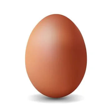 Dark brown chicken egg Realistic and volumetric egg for easter 스톡 일러스트