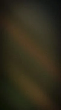 Dark brown green grainy vertical textured background with subtle gradient a.. Stock Illustration