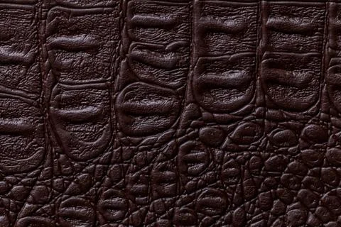 Dark brown leather texture background, closeup. Reptile skin, macro. 写真素材