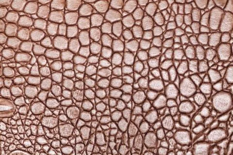 Dark brown leather texture background, closeup. Reptile skin, macro. 写真素材