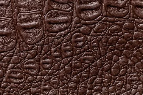 Dark brown leather texture background, closeup. Reptile skin, macro. Stock Photos