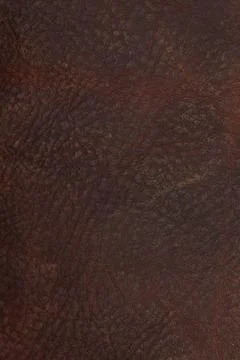 Dark brown leather texture with natural grain Stock Illustration