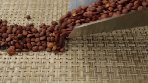 Dark brown lentils fall Stock Footage 123661140