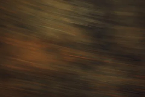 Dark Brown Motion Blur Texture, Abstract Earth Tone Background Foto stock