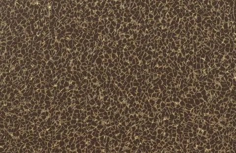 Dark brown organic cell structure with glowing golden outlines and microscopic Иллюстрация