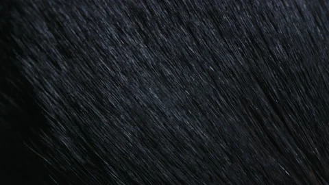 Dark brown pile of the make up brush close-up macro. 4K. Stock Footage 166550811