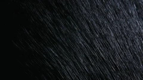 Dark brown pile of the make up brush close-up macro. 4K. Stock Footage 166550945