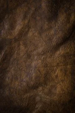 Dark brown puckered leather Stock Photos