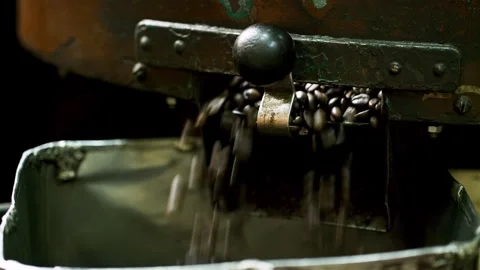 Dark brown roasted coffee beans falling from roasting machine to container. Stock Footage 277532337