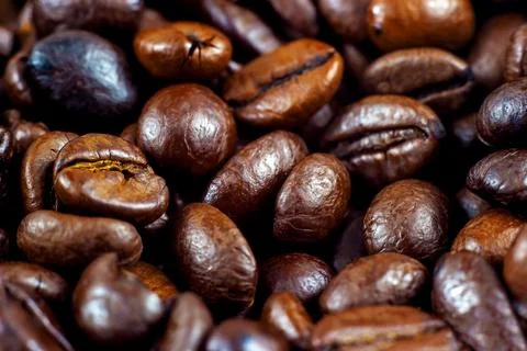Dark brown roasted coffee beans as a texture close up Stock Photos