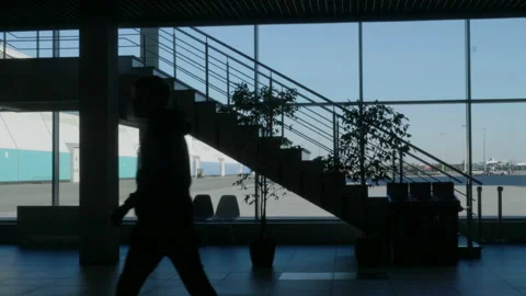 Dark building. HDR. Building without light with stairs and flowers around where Vídeos de archivo 220739415