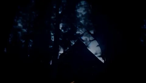 Dark Cabin in the Woods Stockbeeldmateriaal 250476789