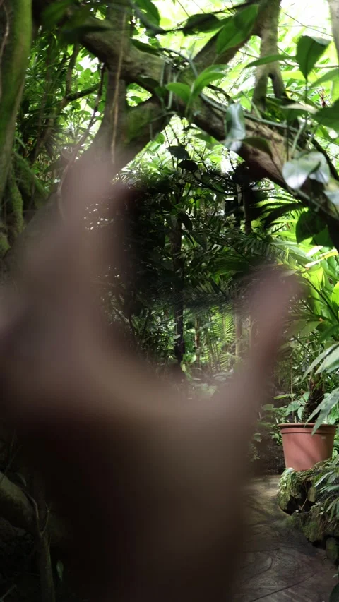 Dark camera lens filter demonstrates exposure change in a botanical garden 스톡 동영상 344788987