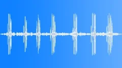 Dark-capped bulbul callingSound Effect