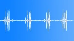 Dark-capped bulbul callingSound Effect