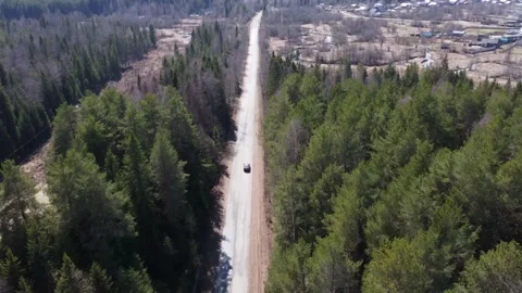 A dark car is driving along a forest road. Vehicle tracking camera. View of the Stock-Footage 239384366