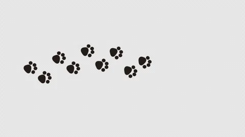 Dark Cat Paw Prints Appearing Along a Curved Path Stock Footage 346710346