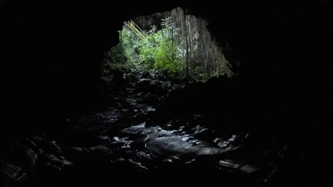 Dark Cave. From the inside of a black cave, looking outward. A jungle lies Stock Footage 156383231