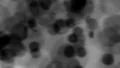 Dark cell blob background black HD Footage