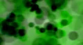 Dark cell blob background green HD Footage