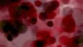 Dark cell blob background red HD Footage