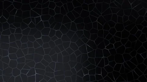 Dark Cellular Network Pattern Animated Loop Stock Footage 344590119