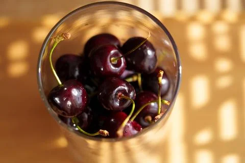 Dark cherries Фото