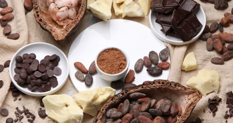 Dark chocolate and cocoa beans, cacao powder, cocoa butter culinary background,  Stock Footage 171786987