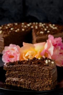 Dark chocolate cake Stock Photos