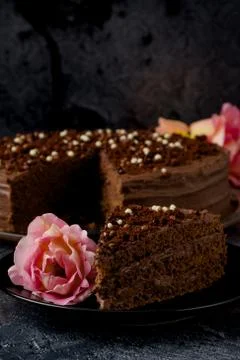 Dark chocolate cake Stock Photos