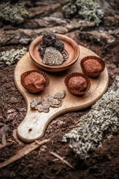Dark chocolate praline Stock Photos