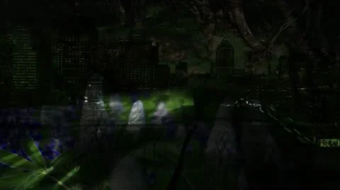 Dark City Bloom Stock Footage