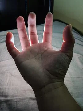 The dark claw Stock Photos