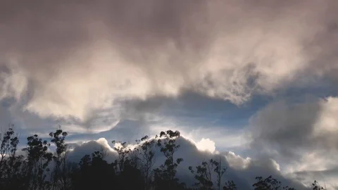 Dark Cloud Scudding Through Blue Sky with Silhouette of Forest Stock-Footage 107454305