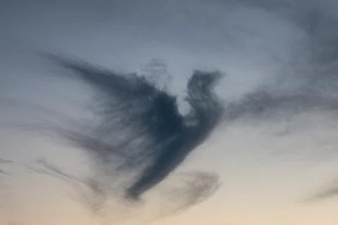 Dark cloud in shape of a pigeon in the evening sky 库存照片