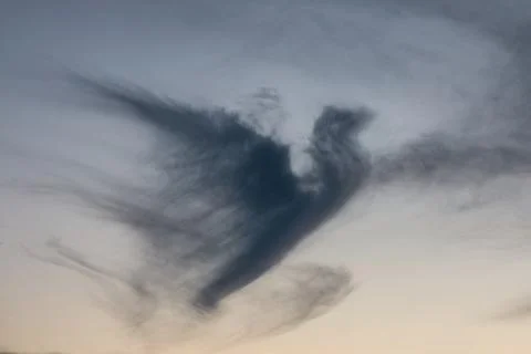 Dark cloud in shape of a pigeon in the evening sky Stock Photos