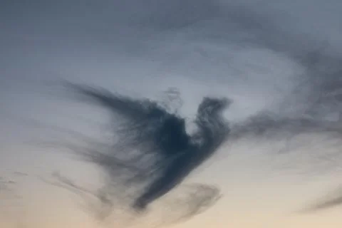 Dark cloud in shape of a pigeon in the evening sky Stock Photos