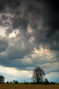 Dark Clouds abouve the field 스톡 사진