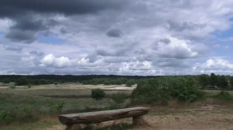 Dark clouds above a vacant bench in Veluwe National Park THE NETHERLANDS 库存影片 52126079