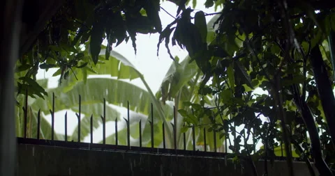 Dark clouds and heavy rainfall with large raindrops falling intensely. Stock Footage 323344545