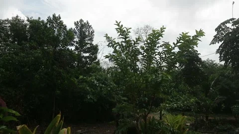 Dark Clouds and light rain before storm Stock Footage 325718821