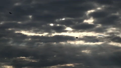Dark clouds with bright sun beams - sky background, birds, sunrays - real time Stock Footage 153840453